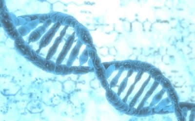 Colloque Ouvrir le débat sur la théorie de l&rsquo;évolution